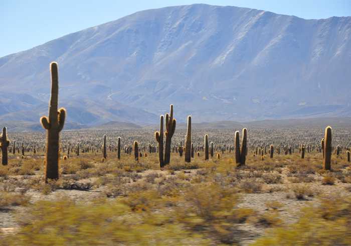 Argentina